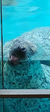 大分マリーンパレス水族館 「うみたまご」に投稿された画像（2023/7/24）