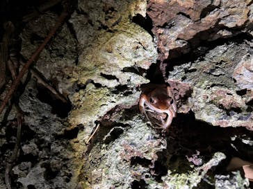 石垣島 ADVENTURE PiPi（イシガキジマアドベンチャーピピ）に投稿された画像（2023/7/24）