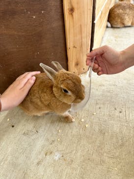 成田ゆめ牧場に投稿された画像（2023/7/24）