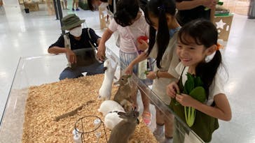 いきもの探検隊に投稿された画像（2023/7/24）