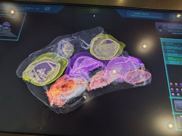 福井県立恐竜博物館に投稿された画像（2023/7/24）