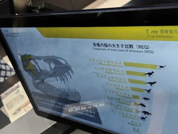 福井県立恐竜博物館に投稿された画像（2023/7/24）