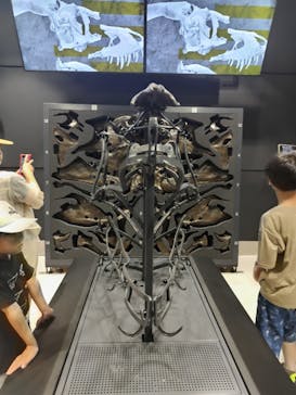 福井県立恐竜博物館に投稿された画像（2023/7/24）