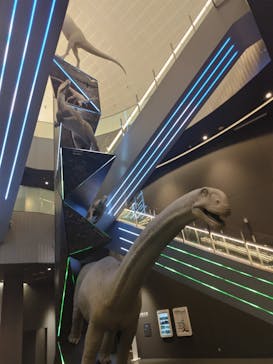 福井県立恐竜博物館に投稿された画像（2023/7/24）