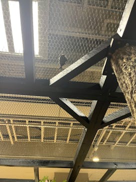 JOYPOLIS 特別イベントスペースに投稿された画像（2023/7/24）