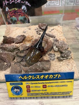 JOYPOLIS 特別イベントスペースに投稿された画像（2023/7/24）