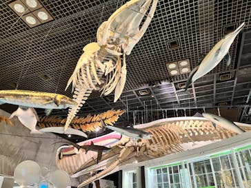 国立科学博物館に投稿された画像（2023/7/24）