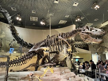 国立科学博物館に投稿された画像（2023/7/24）