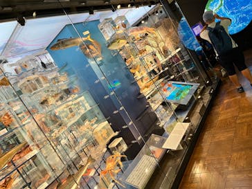 国立科学博物館に投稿された画像（2023/7/24）