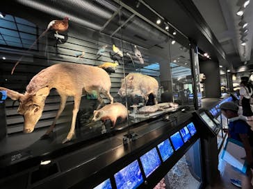 国立科学博物館に投稿された画像（2023/7/24）