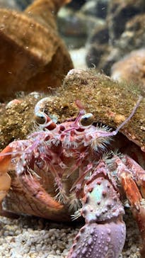 AOAO SAPPOROに投稿された画像（2023/7/24）