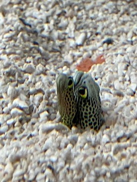 AOAO SAPPOROに投稿された画像（2023/7/24）