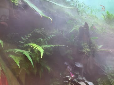 AOAO SAPPOROに投稿された画像（2023/7/24）