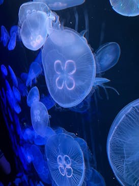 AOAO SAPPOROに投稿された画像（2023/7/24）