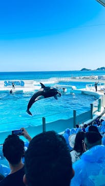 鴨川シーワールドに投稿された画像（2023/7/24）