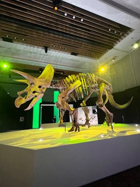 DinoScience 恐竜科学博 2023@TOKYO MIDTOWNに投稿された画像（2023/7/24）