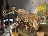 福井県立恐竜博物館に投稿された画像（2023/7/25）