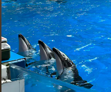 マクセル アクアパーク品川に投稿された画像（2023/7/25）