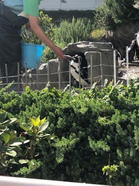 サンシャイン水族館に投稿された画像（2023/7/25）