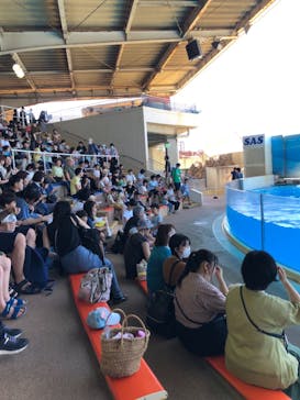 湘南モノレール大船駅に投稿された画像（2023/7/25）