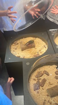 昆虫最強王図鑑展に投稿された画像（2023/7/25）