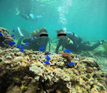 武藤潜水に投稿された画像（2023/7/25）