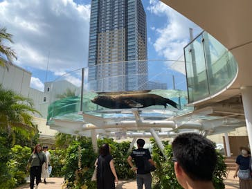 サンシャイン水族館に投稿された画像（2023/7/25）