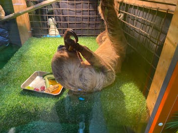 ぶっとんでるいきもの展に投稿された画像（2023/7/25）