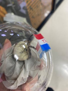 NARA IKIMONO MUSEUMに投稿された画像（2023/7/25）