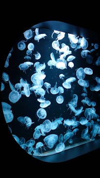 AOAO SAPPOROに投稿された画像（2023/7/25）