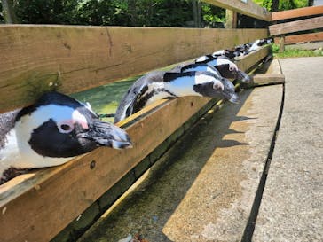 那須どうぶつ王国に投稿された画像（2023/7/25）