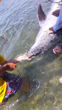 日間賀島ドルフィンビーチに投稿された画像（2023/7/25）