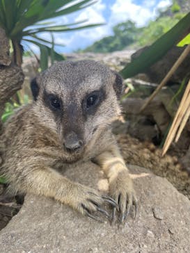 長崎バイオパークに投稿された画像（2023/7/25）