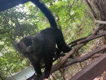 長崎バイオパークに投稿された画像（2023/7/25）