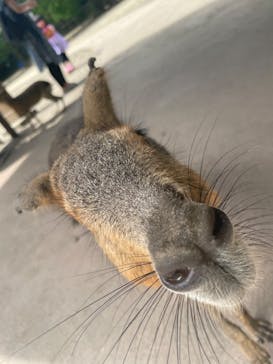 長崎バイオパークに投稿された画像（2023/7/25）