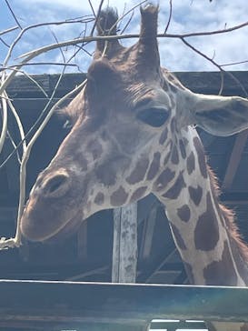 長崎バイオパークに投稿された画像（2023/7/25）