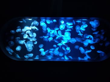 AOAO SAPPOROに投稿された画像（2023/7/25）