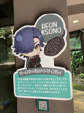 カワスイ 川崎⽔族館に投稿された画像（2023/7/25）