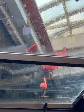 カワスイ 川崎⽔族館に投稿された画像（2023/7/25）