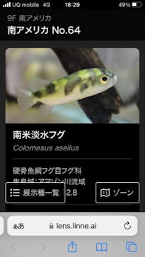 カワスイ 川崎⽔族館に投稿された画像（2023/7/25）