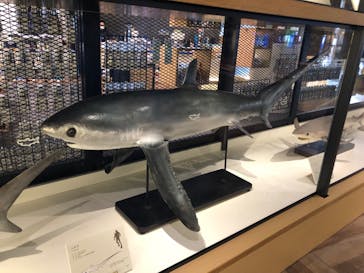 アクアワールド茨城県大洗水族館に投稿された画像（2023/7/25）