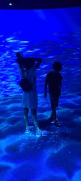 AOAO SAPPOROに投稿された画像（2023/7/25）