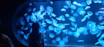 AOAO SAPPOROに投稿された画像（2023/7/25）