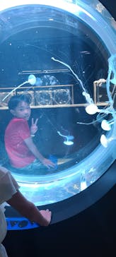 AOAO SAPPOROに投稿された画像（2023/7/25）