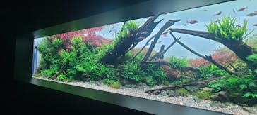 AOAO SAPPOROに投稿された画像（2023/7/25）