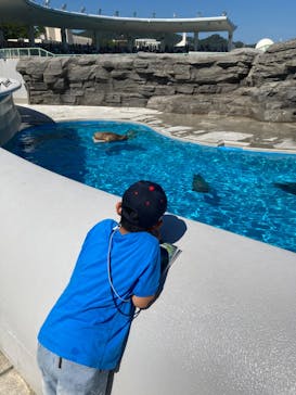 鴨川シーワールドに投稿された画像（2023/7/25）