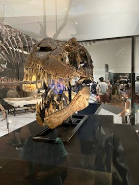 大阪市立自然史博物館に投稿された画像（2023/7/25）