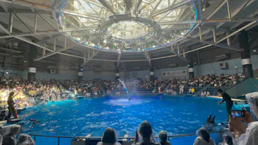 マクセル アクアパーク品川に投稿された画像（2023/7/25）