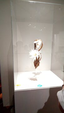 あべのハルカス美術館に投稿された画像（2023/7/25）