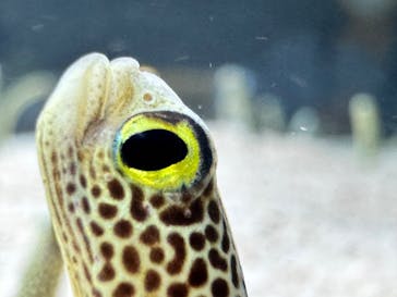 AOAO SAPPOROに投稿された画像（2023/7/25）